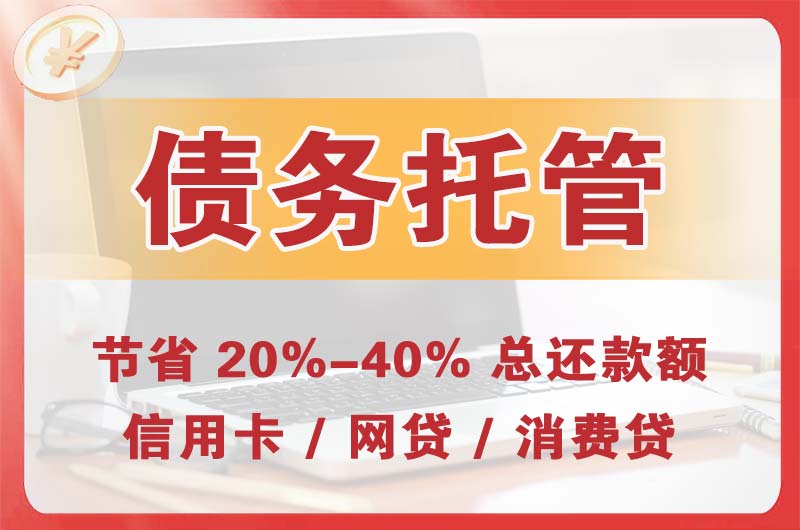 泰山区债务托管